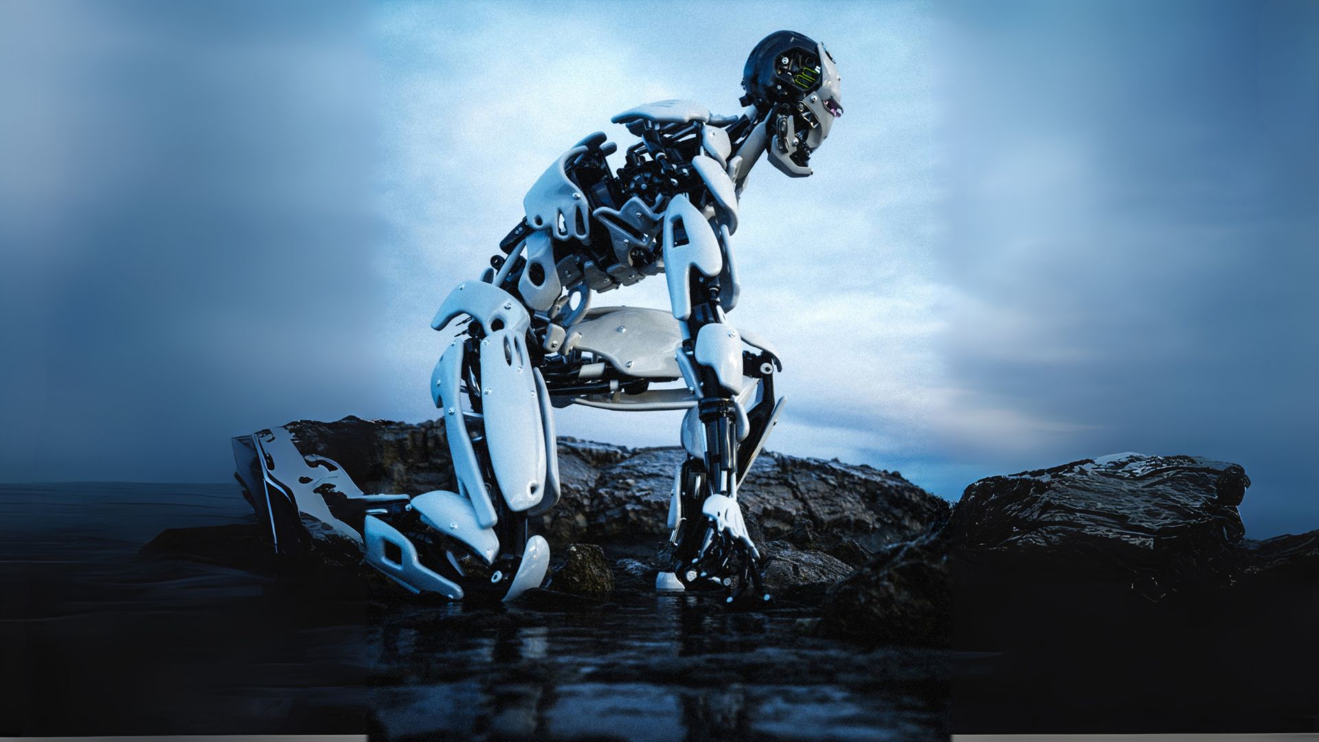 About Xperbot